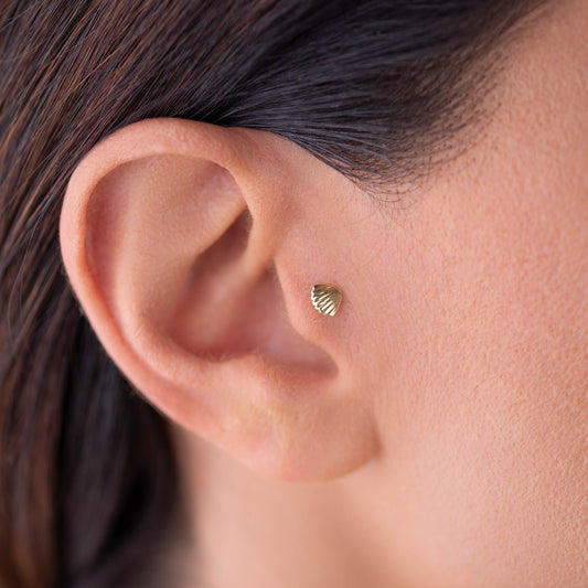 Shell Motif Piercing | 14K Solid Gold